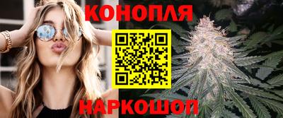 мяу мяу мука Будённовск