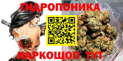 мяу мяу мука Будённовск