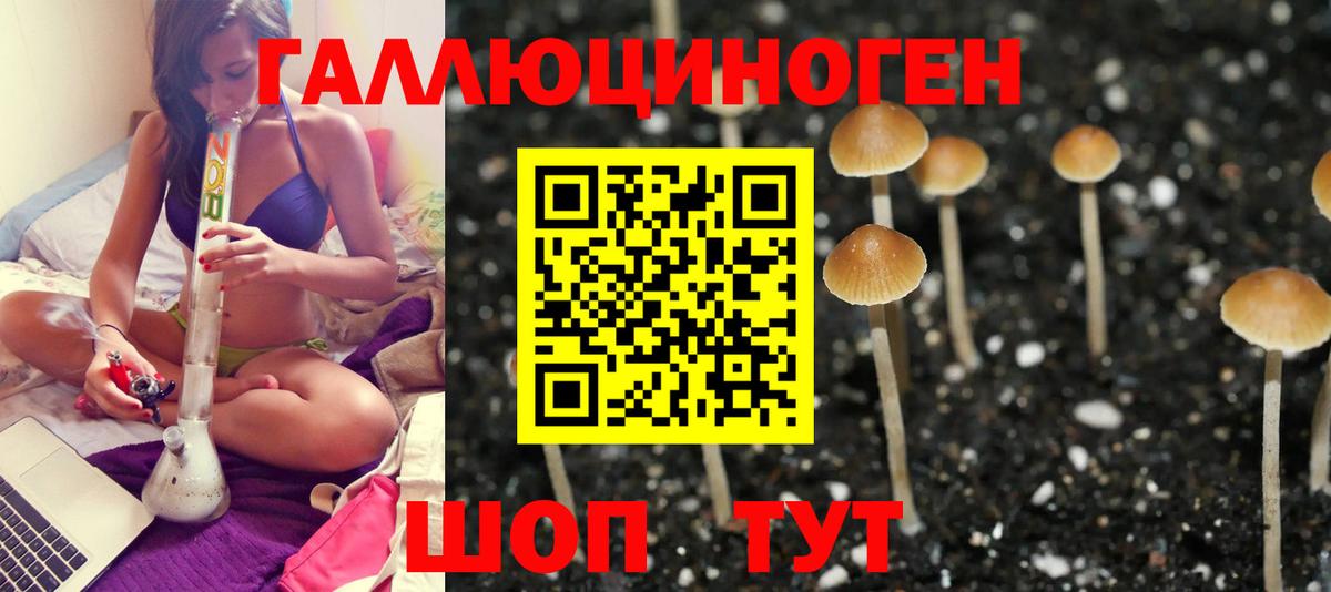 Октябрьский  Галлюциногенные грибы Psilocybe  закладки  Вход с VPN 